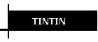 TINTIN